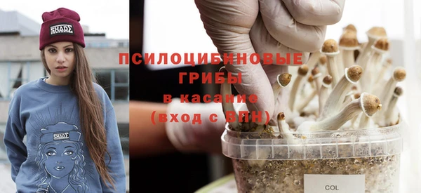 бутират Алексеевка