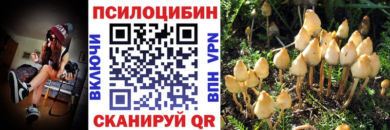 Галлюциногенные грибы GOLDEN TEACHER  Арсеньев 